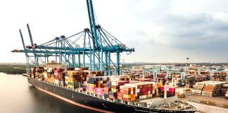 Container ship in Lázaro Cárdenas port
