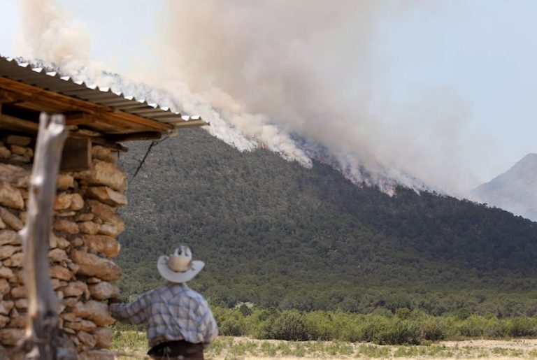 Mexico could be at risk for more forest fires this year