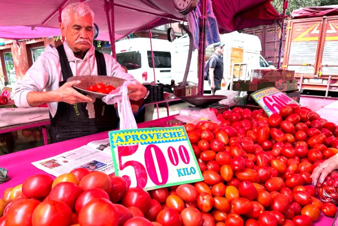 Tomatoes for sale at a market