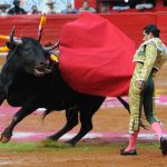 A toreador fights a bull in Mexico City's Plaza de Toros