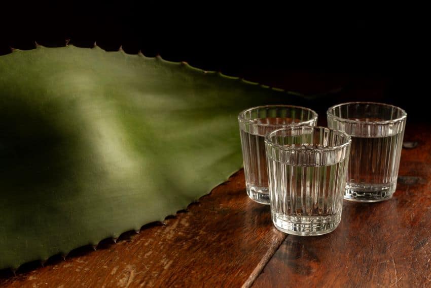 How to order mezcal for your best experience