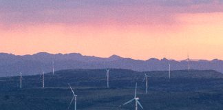 Wind farm in Zacatecas