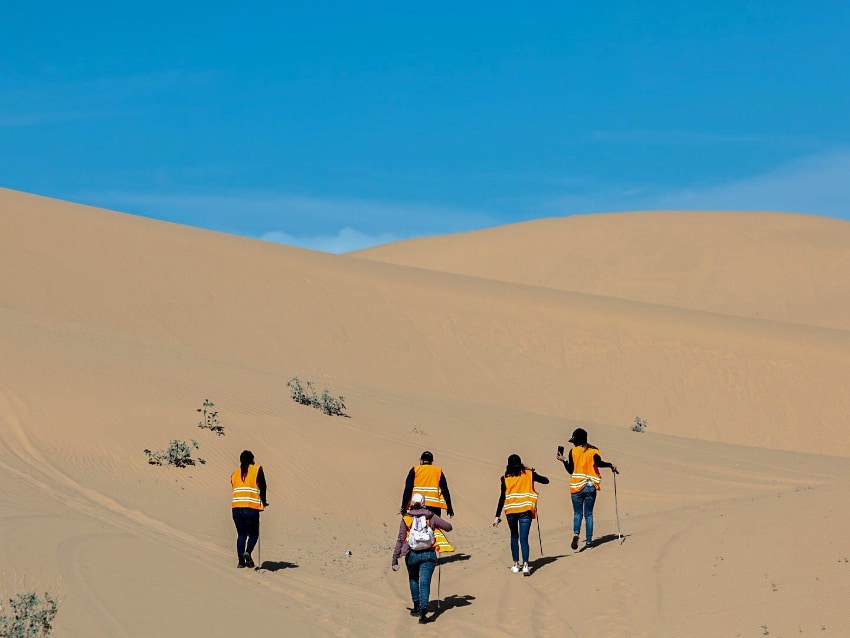 The Baja California Missing Persons Search and Investigation Unit worked with a local missing persons search collection to scour the desert for human remains in February. 
