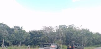 Two armored military vehicles by the side of a rural road.