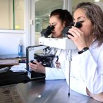 Two women scientists look into microscopes