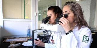 Two women scientists look into microscopes