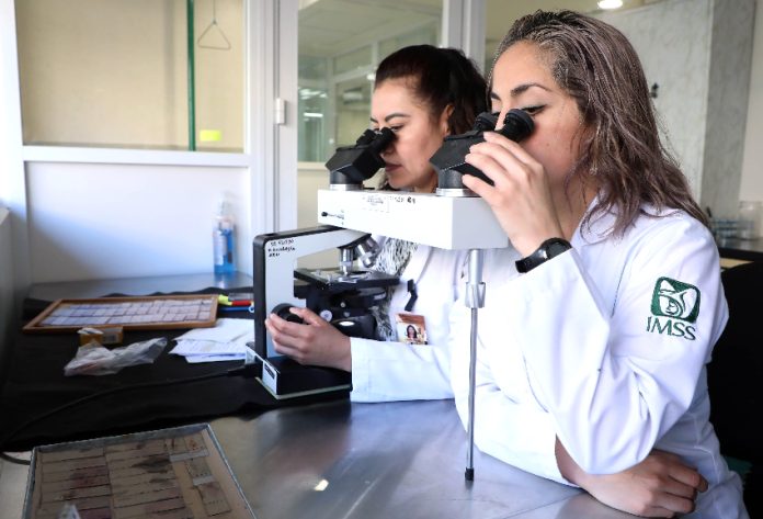 Two women scientists look into microscopes