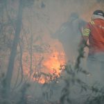 Firefighters in Veracruz