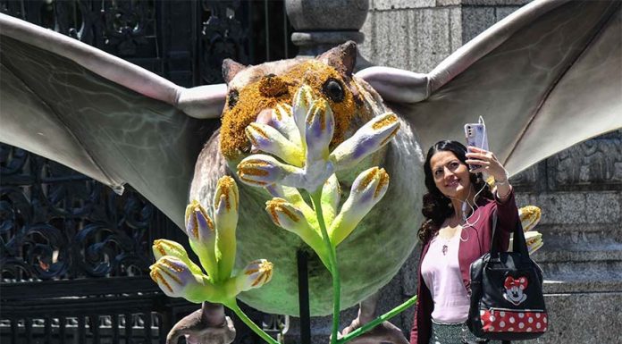 Mexican woman posing for a selfie with a larger-than-life display of a bat pollinating a plant