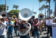 Banda musicians in Mazatlán