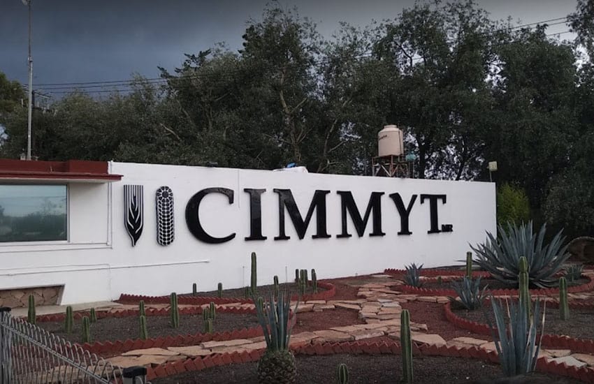 photo of part of headquarters building of CIMMYT in Mexico state, Mexico