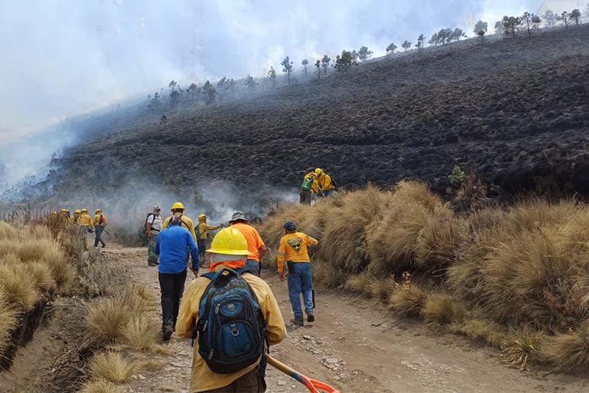 a line of firefighters approaching a mountain engulfed in white smoke