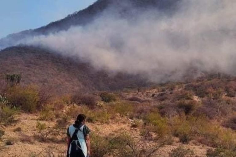 Authorities say Oaxaca wildfire is now 95% under control Authorities say Oaxaca wildfire is now 95% under control