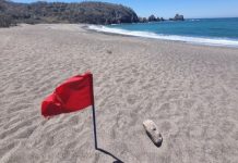 A red flag on an empty beach