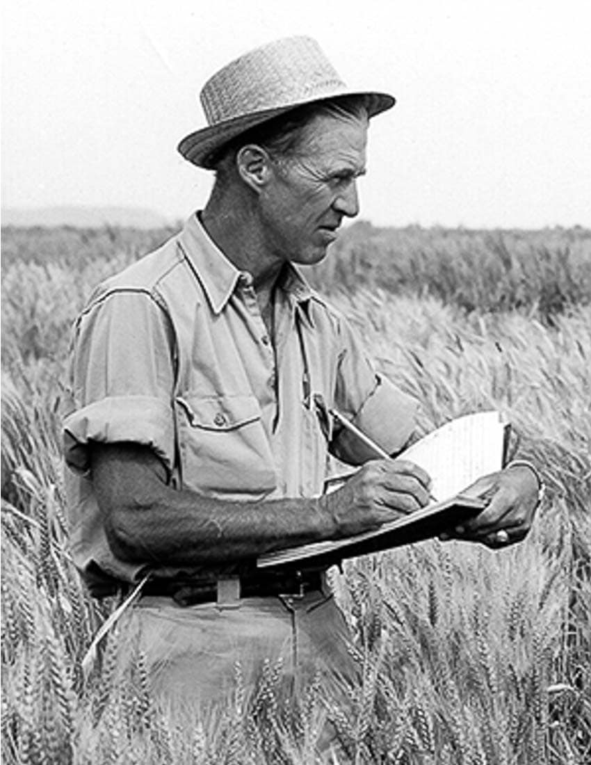 a black and white photo of Norman Borlaugh standing in a field with a notebook and pencil in hand
