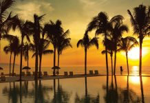 Palm trees around a pool at sunset