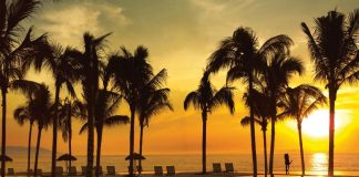 Palm trees around a pool at sunset