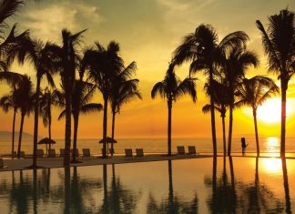 Palm trees around a pool at sunset