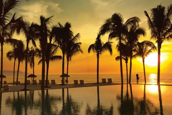 Palm trees around a pool at sunset