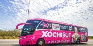 Xóchibus on the road