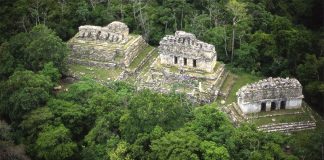 An aerial view of the Southern Acropolis, an area in the Yaxchilán Archaeological Zone.