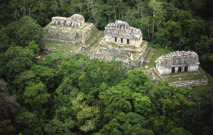 An aerial view of the Southern Acropolis, an area in the Yaxchilán Archaeological Zone.