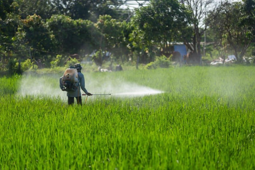 A worker sprays a field with a chemical like the glysophate manufactured by Monsanto