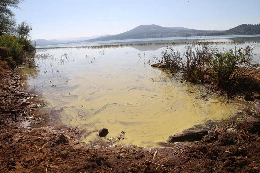 Dirty polluted water inn Lake Zirahuen in Michoacan