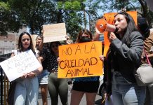 Female protesters holding signs and one protester speaking into a megaphone