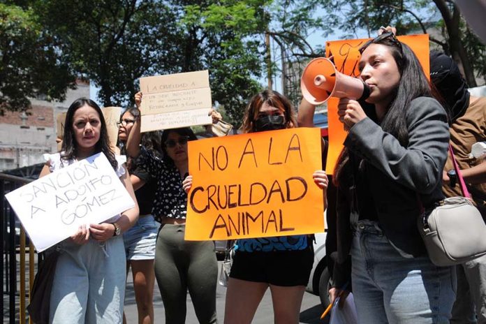 Female protesters holding signs and one protester speaking into a megaphone