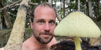 Dennis Taylor mycopreneur