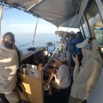 Marine researchers on a ship looking through telescopes for vaquita porpoises