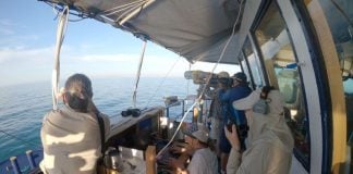 Marine researchers on a ship looking through telescopes for vaquita porpoises