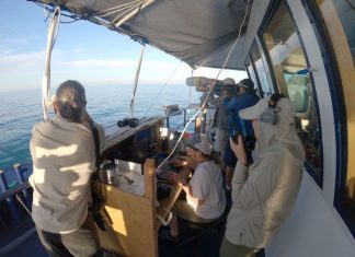 Marine researchers on a ship looking through telescopes for vaquita porpoises