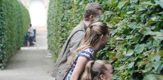 Gossips looking through a hedge