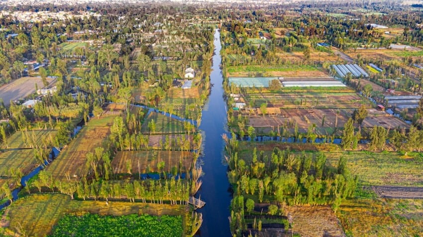 Xochimilco canals and chinampas
