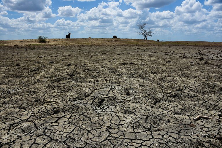What is the sixth mass extinction? 2 trailblazing Mexican scientists explain What is the sixth mass extinction? 2 trailblazing Mexican scientists explain