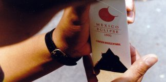 Mexico Eclipse 1991