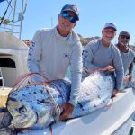 An oarfish found off the coast of Baja California Sur