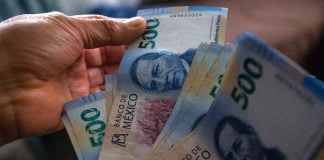 Woman's hands holding 500-peso bils