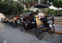 Guides give carriage tours through Mérida, Mexico