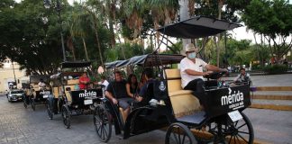 Guides give carriage tours through Mérida, Mexico