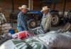 Two Mexican farmers move bags of fertilizer, representing economic growth in the agriculture sector.