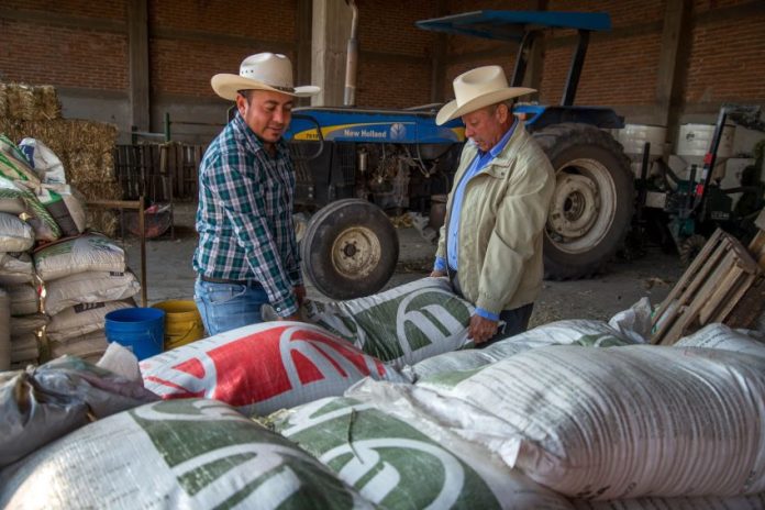Two Mexican farmers move bags of fertilizer, representing economic growth in the agriculture sector.