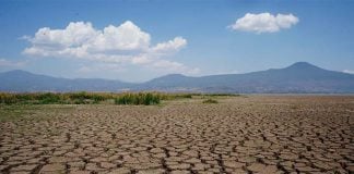 A completely dried out section of Lake Patzcuaro in Mexico, with cracks in the lake bed