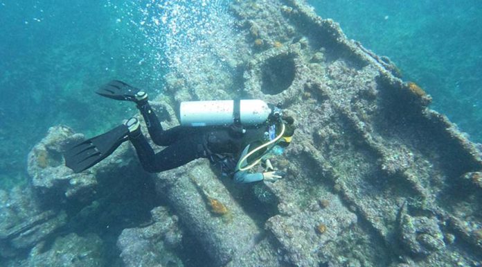 A diver investigates the hull of a sunken ship off Baja California