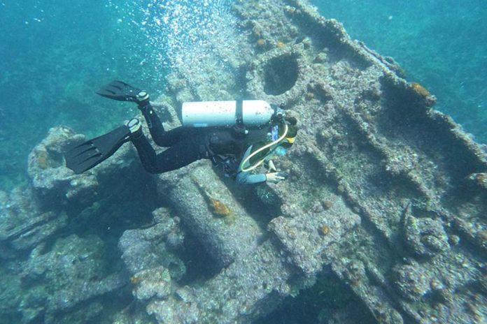 A diver investigates the hull of a sunken ship off Baja California