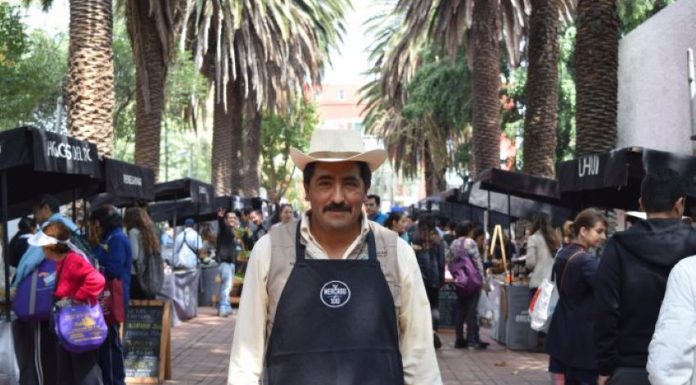 Mercado el 100, Mexico City