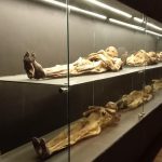 Mummified corpses in Guanajuato on display in glass cases at the Guanajuato Mummy Museum