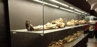 Mummified corpses in Guanajuato on display in glass cases at the Guanajuato Mummy Museum